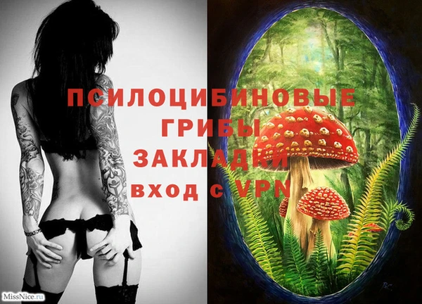 таблы Осташков