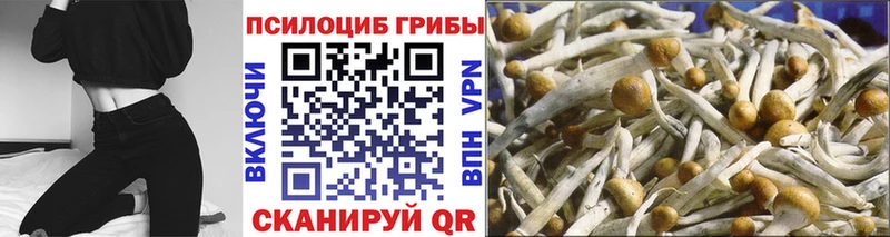 Псилоцибиновые грибы GOLDEN TEACHER  blacksprut вход  Кирсанов 