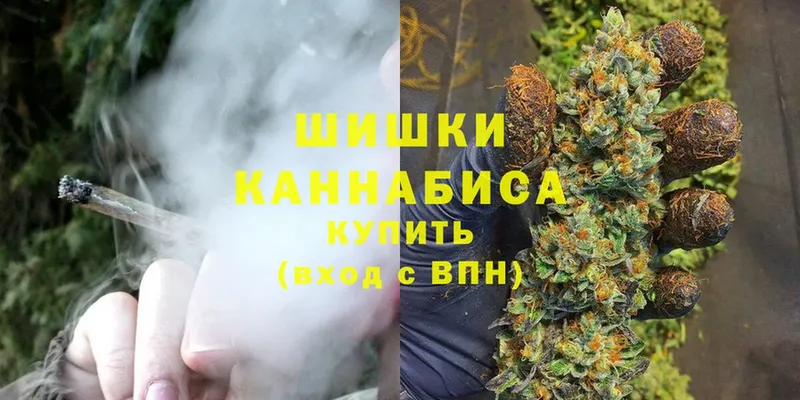 купить наркотики цена  Кирсанов  кракен зеркало  Каннабис OG Kush 